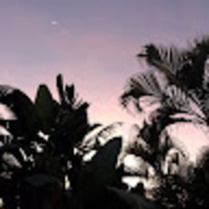 Meet your Posher, Beatrice